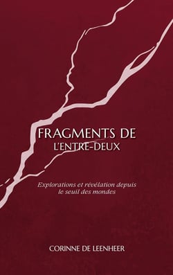 Fragments de l'entre-deux : Explorations et révélations depuis le seuil des mondes
