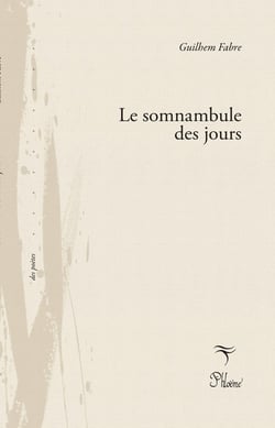 Le somnanbule des jours