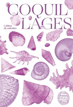 Coquillages - joyaux des mers