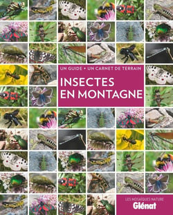 Insectes en Montagne (2e édition)