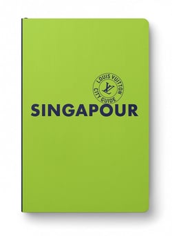 Singapour city guide 2027