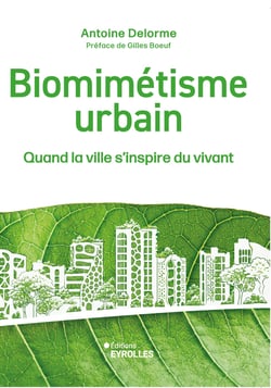 Biomimétisme urbain : Quand la ville s'inspire du vivant