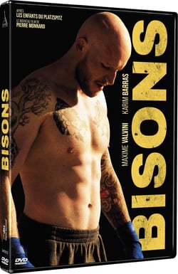 Bisons