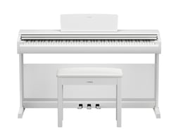 YDP-146WH Yamaha - Piano numérique - blanc