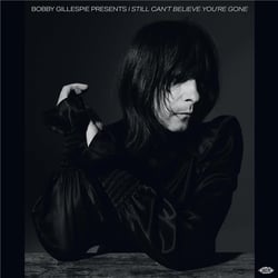 Presents I Still Can't Believe You're Gone - édition gatefold 180g