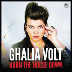 Burn The House Down - édition gatefold 180g