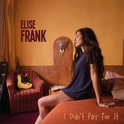 I Didn't Pay For It - édition gatefold 180g