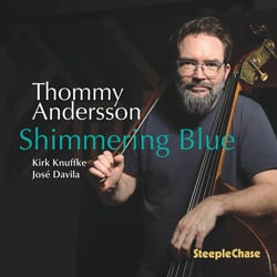 Shimmering Blue