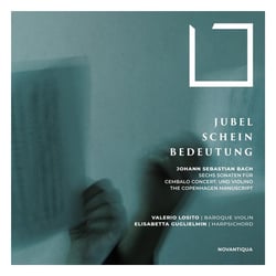 Jubel Schein Bedeutung : Sonaten für Cembalo und Violino BWV