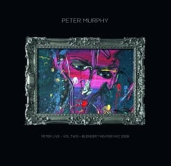 Peter Live - Vol. 2 - Blender Theater NYC 2008