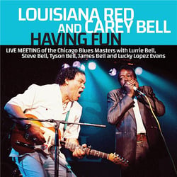 Having Fun - Live Meeting Chicago Blues 1990