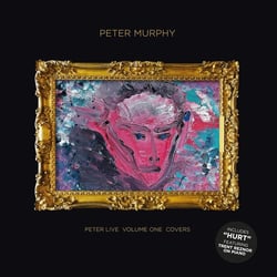 Peter Live Vol. 1 Covers