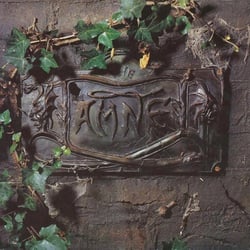 The Black Album - édition colorée gatefold 180g