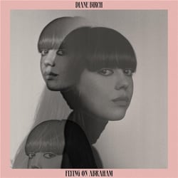 Flying On Abraham - édition gatefold 180g