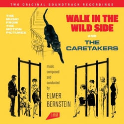 Walk In The Wild Side - The Caretakers