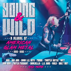 Young And Wild : A Decade Of American Glam Metal 1982-1992