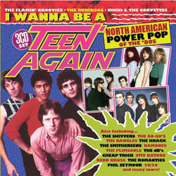 I Wanna Be A Teen Again - American Power Pop 1980-1989