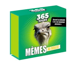 365 jours - Mèmes au boulot