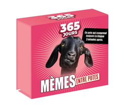 365 jours - Mèmes entre potes