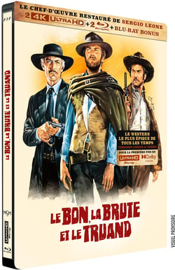Le Bon, la Brute et le Truand