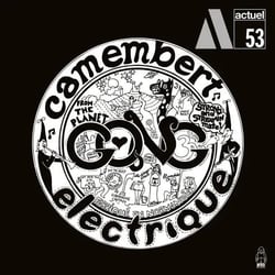 Camembert Electrique - édition limitée colorée 180g