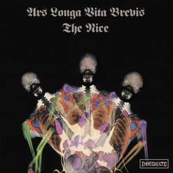 Ars Longa Vita Brevis - édition limitée colorée