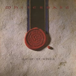 Slip Of The Tongue - édition 180g