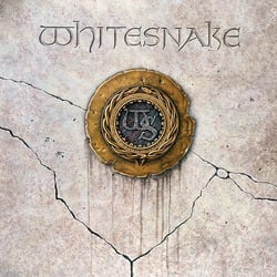 Slip Of The Tongue - édition 180g