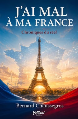 J'ai mal à ma France : Chroniques du réel 3