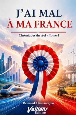 J'ai mal à ma France : Chroniques du réel 4