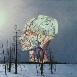 Songs For A Dead Pilot
