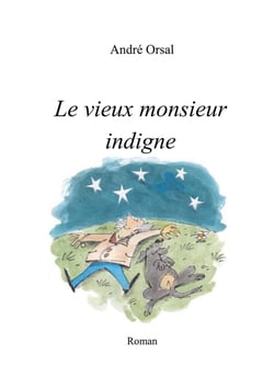 Le vieux monsieur indigne