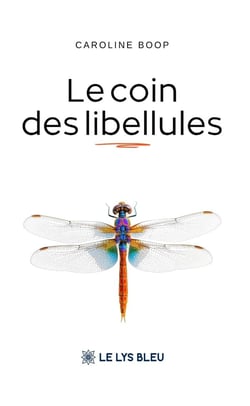 Le coin des libellules