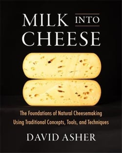 Milk into cheese /anglais