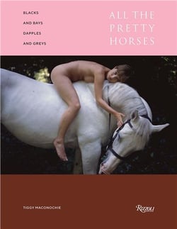 Blacks And Bays, Dapples And Greys : All The Pretty Horses In Art And Photography