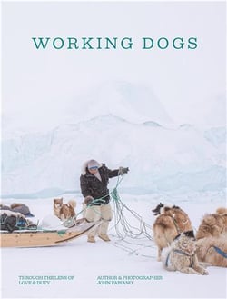 Working Dogs Through The Lens Of Love And Duty