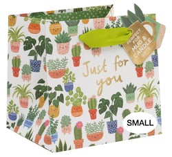 SAC CADEAU PLANTE EN POTE KATE MC FARLANE PM