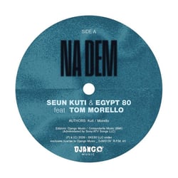 Na Dem Feat. Tom Morello + Problems Feat. Kabaka Pyramid