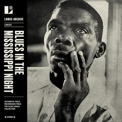 Blues In The Mississippi Night
