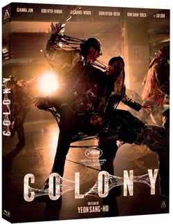 Colony