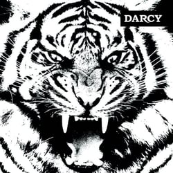 Tigre - édition colorée