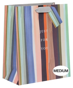 Sac cadeau Pictura - Coups de pinceau - Taille M
