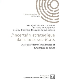 L'incertain stratégique dans tous ses états : Crises sécuritaires, incertitudes et dynamiques de survie