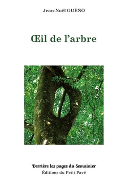 Oeil de l'arbre