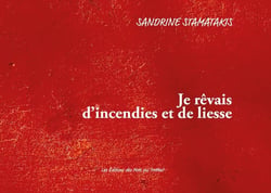 JE REVAIS D'INCENDIES ET DE LIESSE