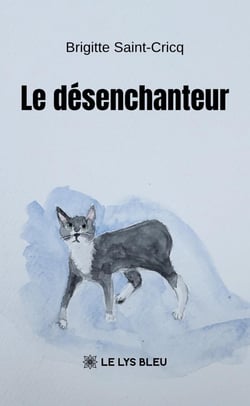 Le désenchanteur