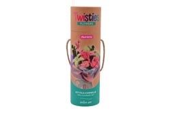 Kit fils chenille bouquet Aurora Twisties - Enjoy Art