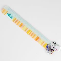 Règle 15 cm - Plastique - Diddl 