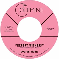 Expert Witness + Mistake
