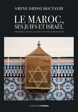 Le Maroc, ses Juifs et Israël : Origines, foi et alliance d'une civilisation